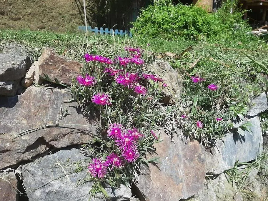 Gite La Petite Maison Soulan  Ferienhaus Soulan (Hautes-Pyrenees)